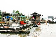 Foto: Cilts sievietes un saldūdens delfīnu meklējumi Borneo